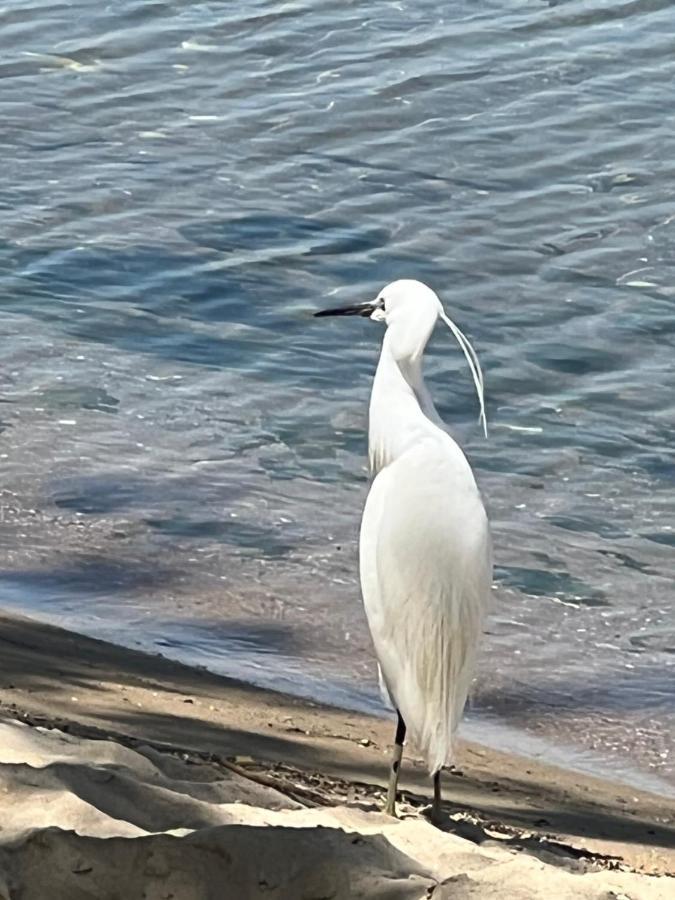 Kallithea Nea Iraklitsa Exteriör bild